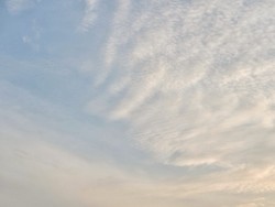 Kesegaran Hutanku di pagi hari