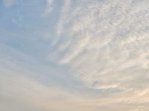 Kesegaran Hutanku di pagi hari Kesegaran Hutanku di pagi hari