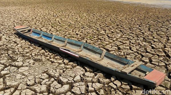 Potret Waduk Mrica Banjarnegara Mengering Akibat Kemarau