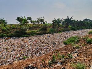 Diguyur Hujan, Kali Jambe Bekasi Dipadati Sampah Kiriman 200 Meter Diguyur Hujan, Kali Jambe Bekasi Dipadati Sampah Kiriman 200 Meter
