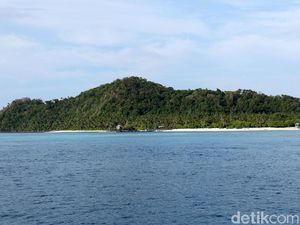 Bikin RI-China Bersitegang, Laut Natuna Ada 23.000 Ton Cumi-cumi