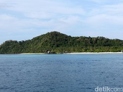 Bikin RI-China Bersitegang, Laut Natuna Ada 23.000 Ton Cumi-cumi