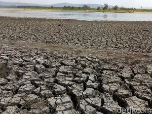 Begini Dampak Musim Kemarau di Tengah Corona