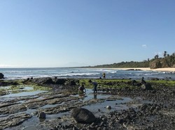 Pantai Cantik dari Banyuwangi