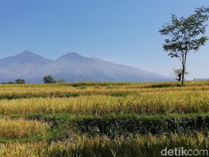 Diguyur Hujan, Titik Api di Gunung Arjuno-Welirang Lenyap Diguyur Hujan, Titik Api di Gunung Arjuno-Welirang Lenyap