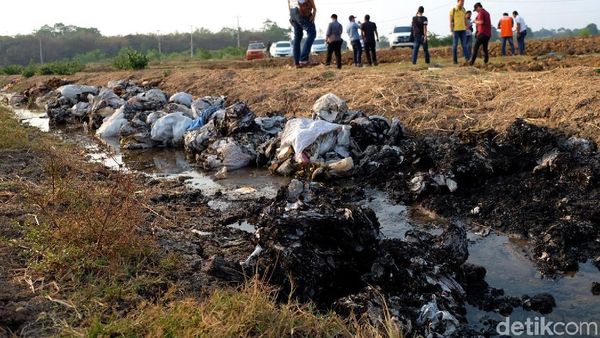 Penampakan Lumpur Beracun yang Sengaja Dikubur di Karawang