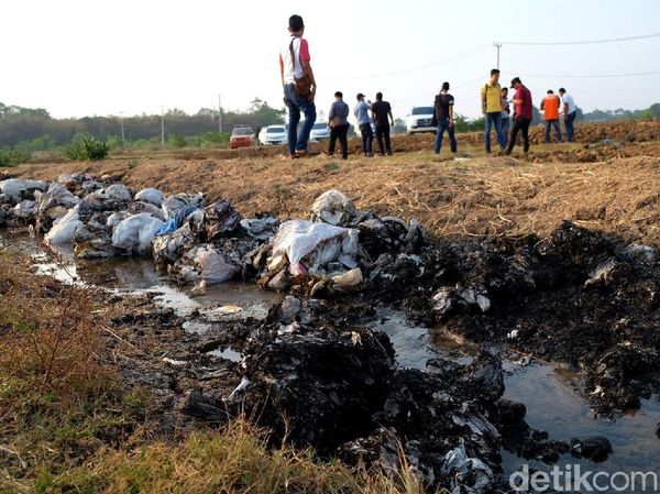Penampakan Lumpur Beracun yang Sengaja Dikubur di Karawang