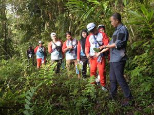 Pertamina Ajak Selebgram hingga Vlogger Studi Kehidupan Owa Jawa
