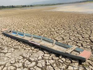 Dilanda Kekeringan Parah, Waduk Mrica Banjarnegara Jadi Daratan