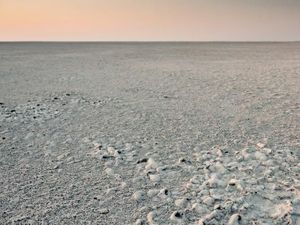 Ilmuwan Klaim Temukan Taman Eden Asal Nenek Moyang Manusia