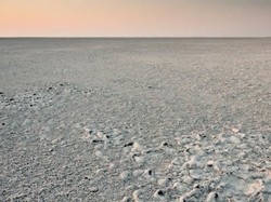 Ilmuwan Klaim Temukan Taman Eden Asal Nenek Moyang Manusia