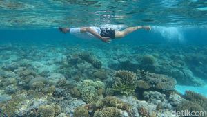 Foto: 8 Destinasi Wisata Bebas Corona di Indonesia
