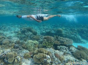 Foto: 8 Destinasi Wisata Bebas Corona di Indonesia Foto: 8 Destinasi Wisata Bebas Corona di Indonesia