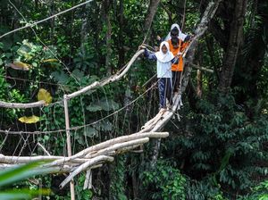 Ngeri, Siswa SD di Lebak Lintasi Jembatan Gantung yang Rusak