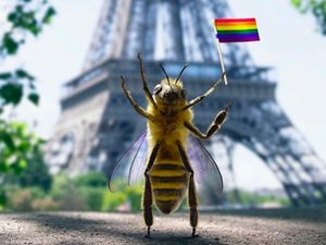 Ketika Lebah Jadi Influencer Wisata