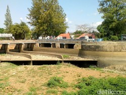 Dua Sungai di Trenggalek Kering Total, Ribuan Hektare Sawah Terdampak