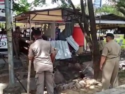 Jelang Hari Pangan Sedunia, Puluhan Lapak di Kendari Dibongkar!