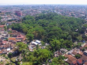 Hutan Mini Jantung Kota Jogja Hutan Mini Jantung Kota Jogja