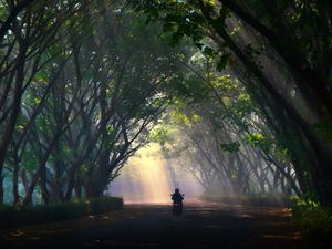 Menembus Kabut Menembus Kabut