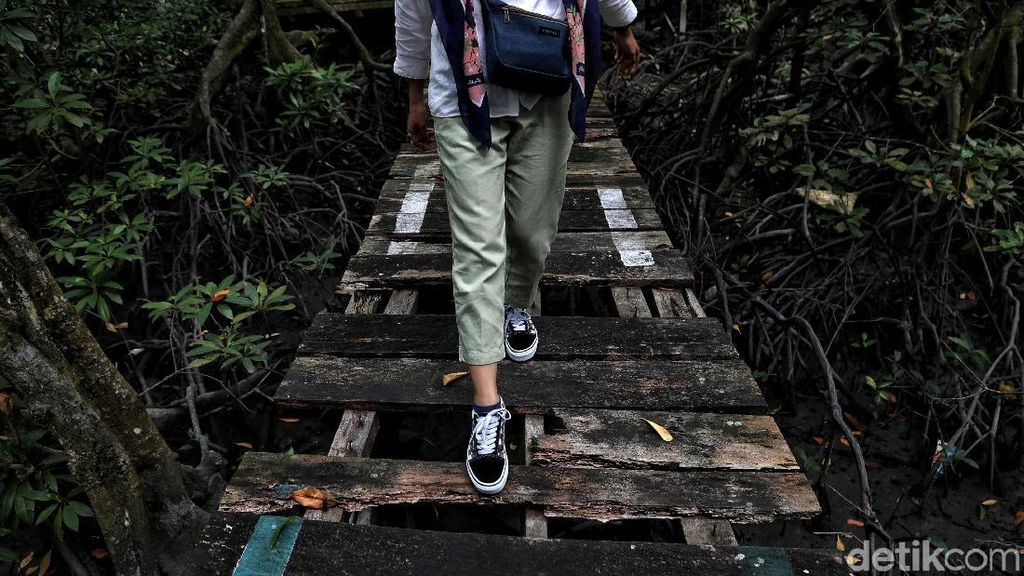 Menengok Taman Mangrove di Tarakan yang Terbengkalai Menengok Taman Mangrove di Tarakan yang Terbengkalai