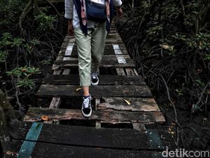 Menengok Taman Mangrove di Tarakan yang Terbengkalai