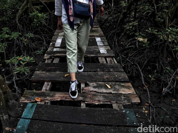 Menengok Taman Mangrove di Tarakan yang Terbengkalai