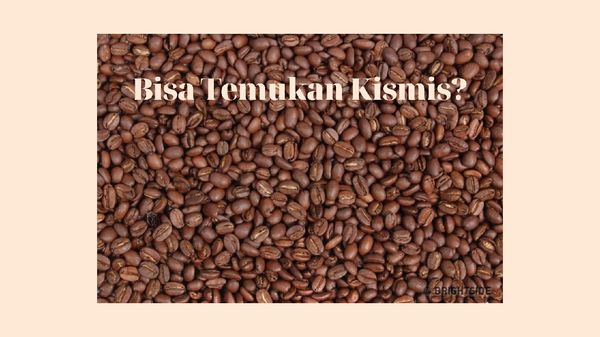 Bisa Jawab Semua dengan Benar? Berarti Kamu Punya Otak Encer!