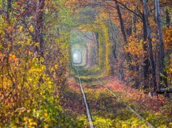 Katanya Masuk ke Terowongan Ini Bikin Pasangan Langgeng