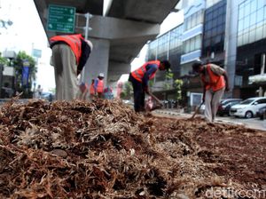 Penghijauan di Kolong Jalur MRT Blok M Bikin Adem Penghijauan di Kolong Jalur MRT Blok M Bikin Adem