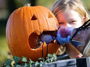 Trik Daur Ulang Sampah dan Labu Sisa Halloween