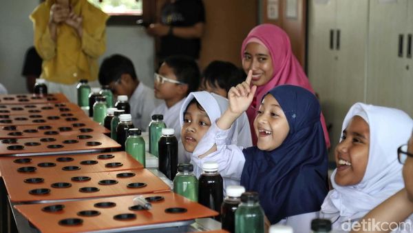 Serunya Belajar Membuat Tanaman Hidroponik