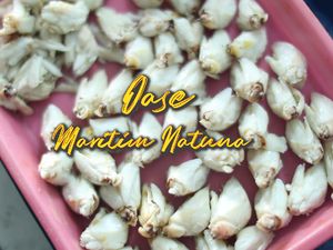 Industri Rajungan di Pulau Sedanau Natuna