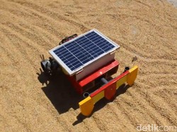 Siswi SMP di Ponorogo Bikin Robot Orak-arik Pengering Padi