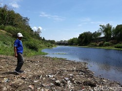 Makin Parah! Bengawan Solo Tercemar, Airnya Hitam dan Bau Alkohol
