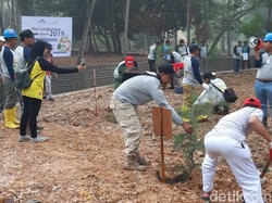 Peringati Hari Lingkungan Hidup, Pemkab Banyuwangi Bersih-bersih Pantai