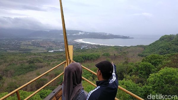 Foto: Hutan Romantis di Pacitan