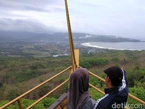 Foto: Hutan Romantis di Pacitan