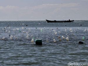 Anggota DPR Ungkap 8 Warga Nunukan Ditahan Malaysia, Minta Segera Dipulangkan