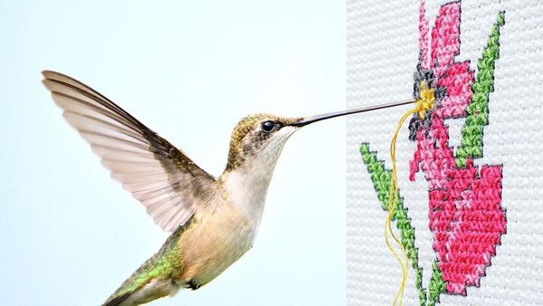 Tanpa Efek Photoshop, Perpaduan Dua Foto Ini Bikin Mata Takjub