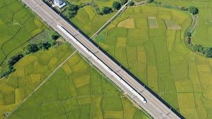 Momen Indah Peluru Raksasa Melintas di Antara Hamparan Sawah