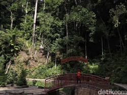 Yang Segar-segar di Pulau Nunukan