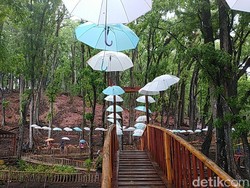 Sisi Romantis Pacitan ada di Sini