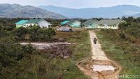 Mengintip Jalur Pedesaan di Krayan Nunukan
