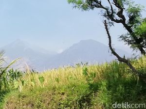 Wow, Daftar Mendaki Gunung Arjuno-Welirang Kini Bisa Secara Online