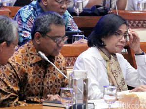 Sri Mulyani Temukan Desa Hantu, Anggota Komisi XI: Jangan Terkejut