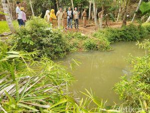 Warga Ciamis Heboh Penampakan Ikan Besar Misterius di Sungai Cisadap Warga Ciamis Heboh Penampakan Ikan Besar Misterius di Sungai Cisadap