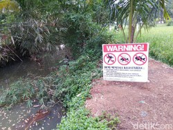 Mitos Ikan Mas Besar Misterius di Ciamis, Ditangkap Dapat Malapetaka