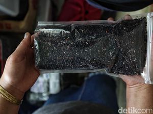 Favoritnya Sultan Brunei, Beras Krayan Memang Spesial