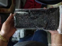 Favoritnya Sultan Brunei, Beras Krayan Memang Spesial