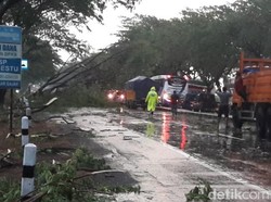 Puluhan Pohon Tumbang Timpa Mobil dan Motor di Demak